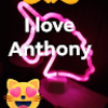 gibbearamy702